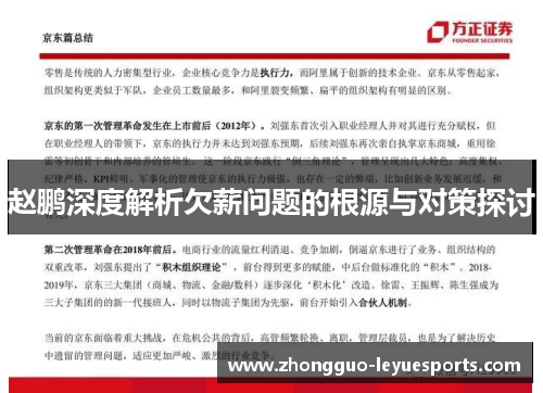 赵鹏深度解析欠薪问题的根源与对策探讨